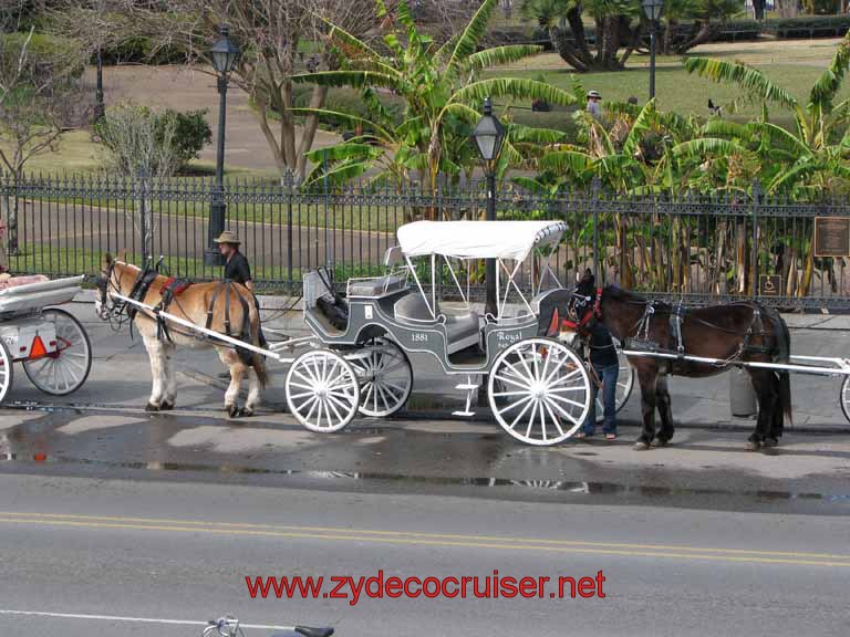 011: Carriage Rides lined up in front of Jackson Square, New Orleans, LA