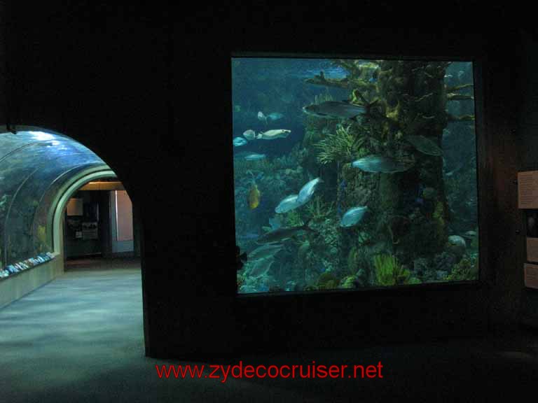 048: Audubon Aquarium of the America, New Orleans, LA