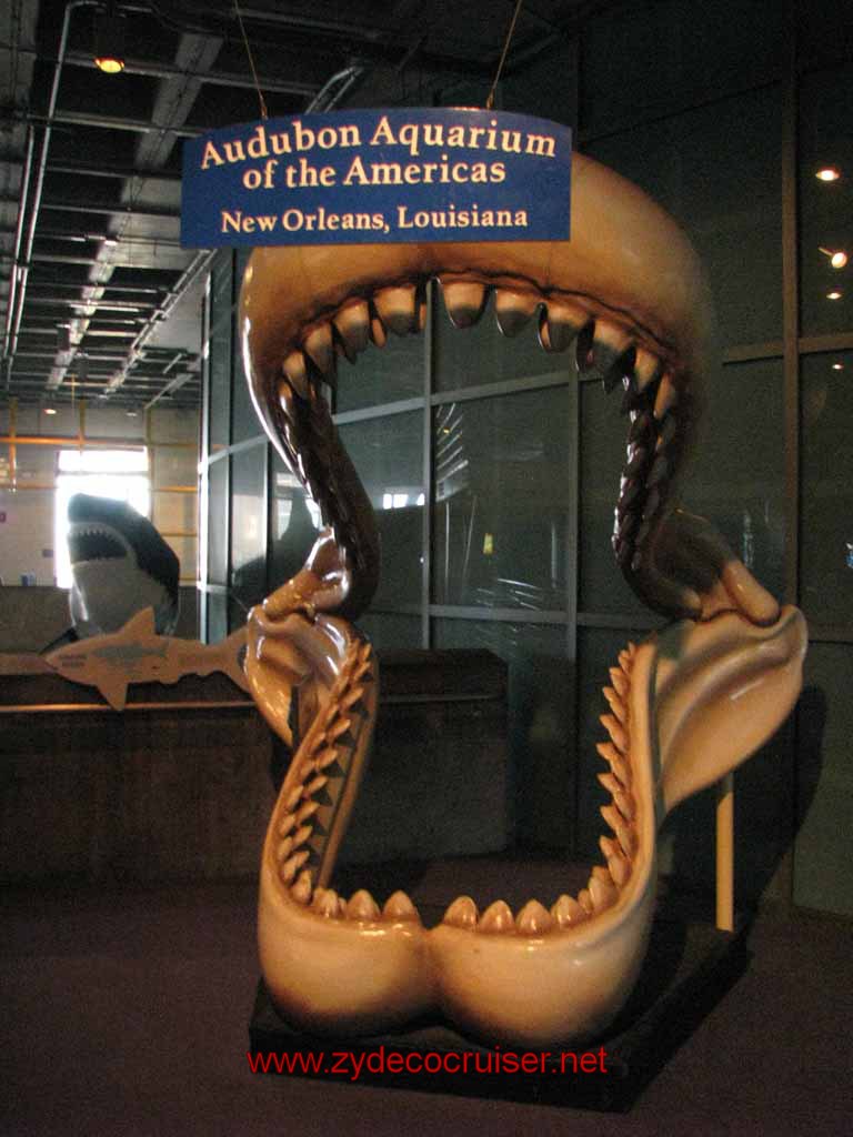 064: Audubon Aquarium of the Americas, New Orleans, LA - Sharks