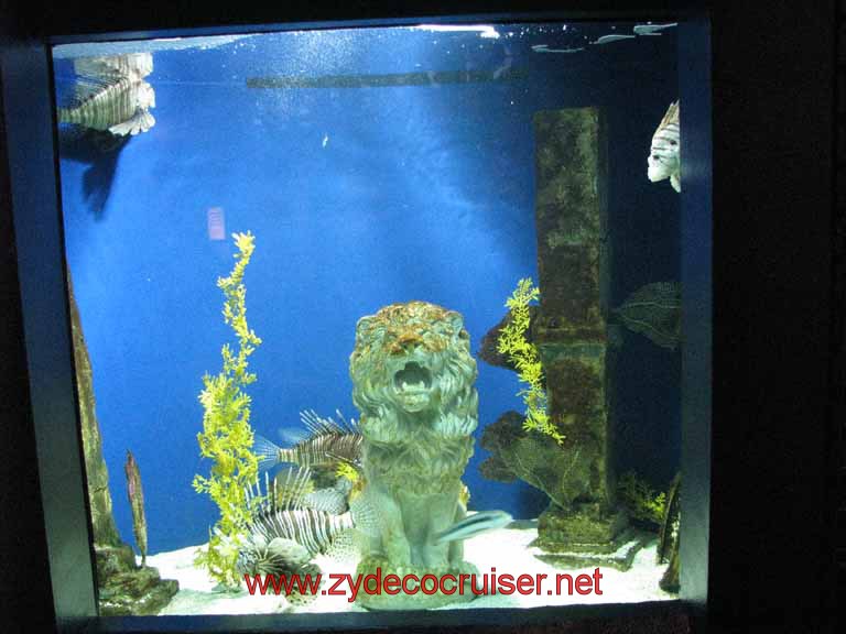 070: Audubon Aquarium of the Americas, New Orleans, LA - Scorpionfish - aka Lionfish