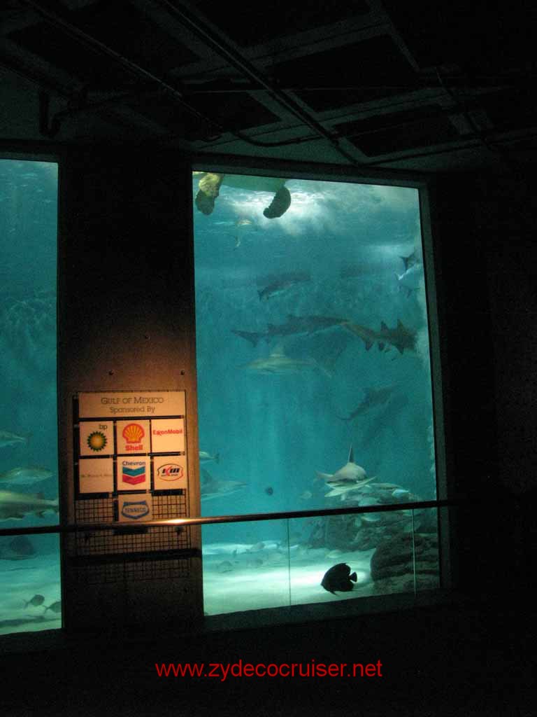 078: Audubon Aquarium of the Americas, New Orleans, LA - Gulf of Mexico Exhibit