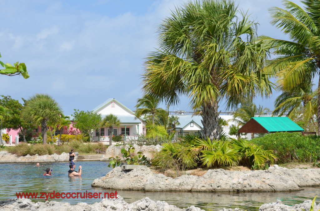 059: Carnival Magic, BC5, John Heald's Bloggers Cruise 5, Grand Cayman, Cayman Turtle Farm, Turtle Lagoon, 