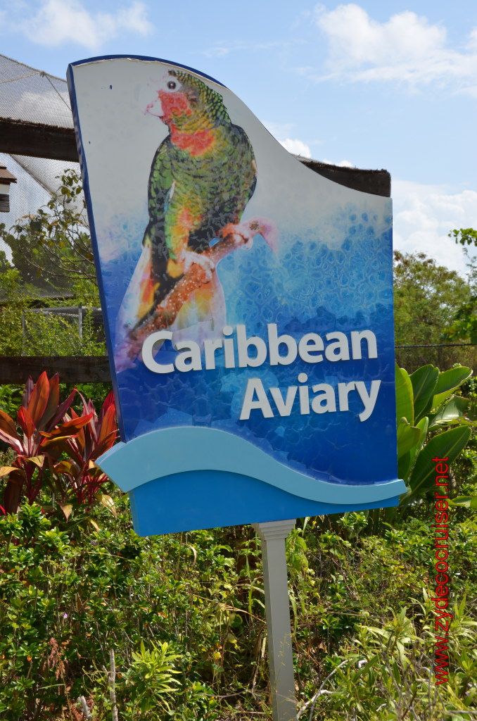 060: Carnival Magic, BC5, John Heald's Bloggers Cruise 5, Grand Cayman, Cayman Turtle Farm, Caribbean Aviary, 