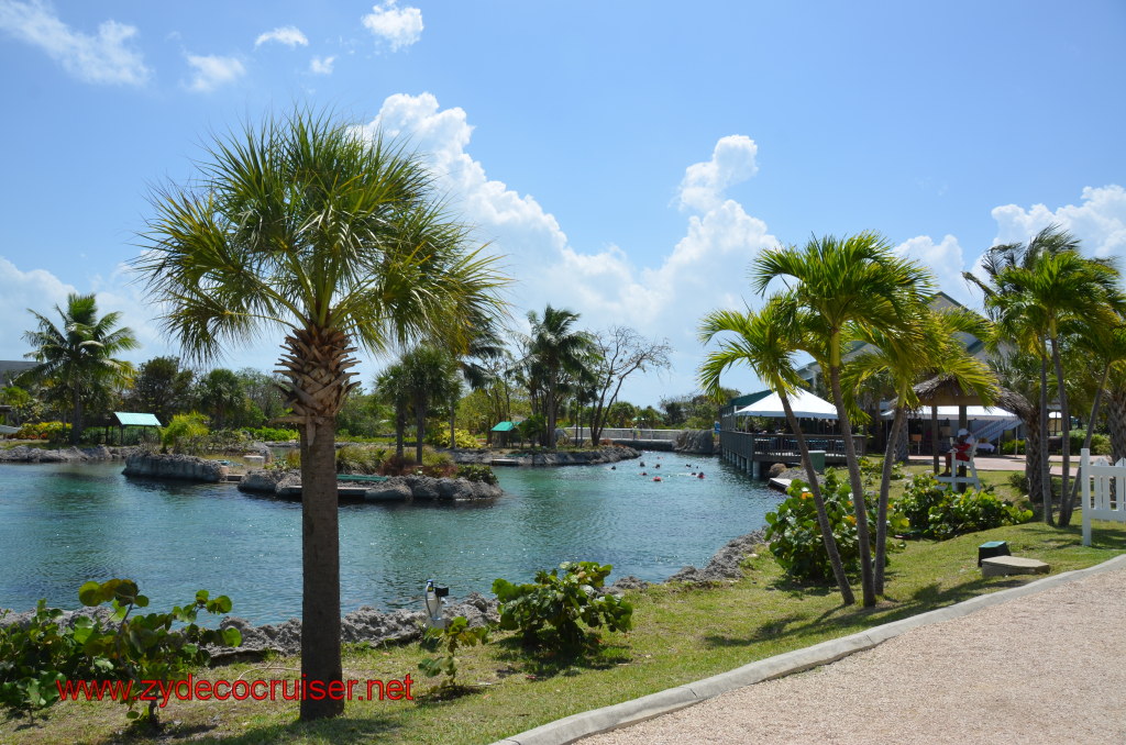 156: Carnival Magic, BC5, John Heald's Bloggers Cruise 5, Grand Cayman, Cayman Turtle Farm, Turtle Lagoon,  