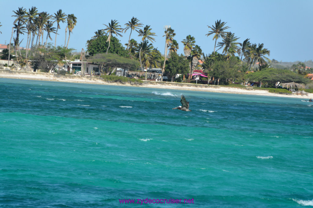 211: Carnival Dream Reposition Cruise, Aruba, Jolly Pirates, Afternoon Aruba Snorkeling, 