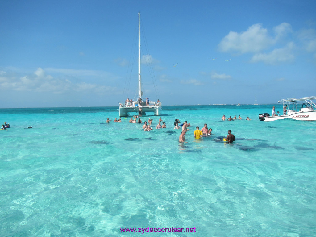 015: Carnival Dream Reposition Cruise, Grand Cayman, Native Way Rays, Reef, and Rum Point Tour, Stingray Sandbar, 