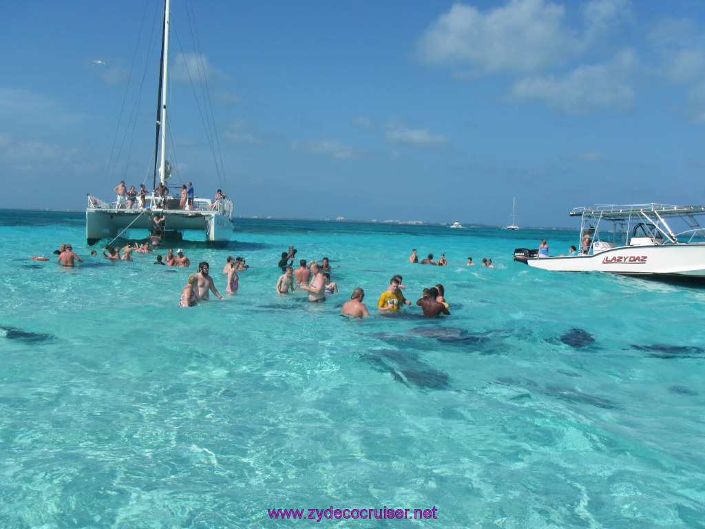 016: Carnival Dream Reposition Cruise, Grand Cayman, Native Way Rays, Reef, and Rum Point Tour, Stingray Sandbar, 