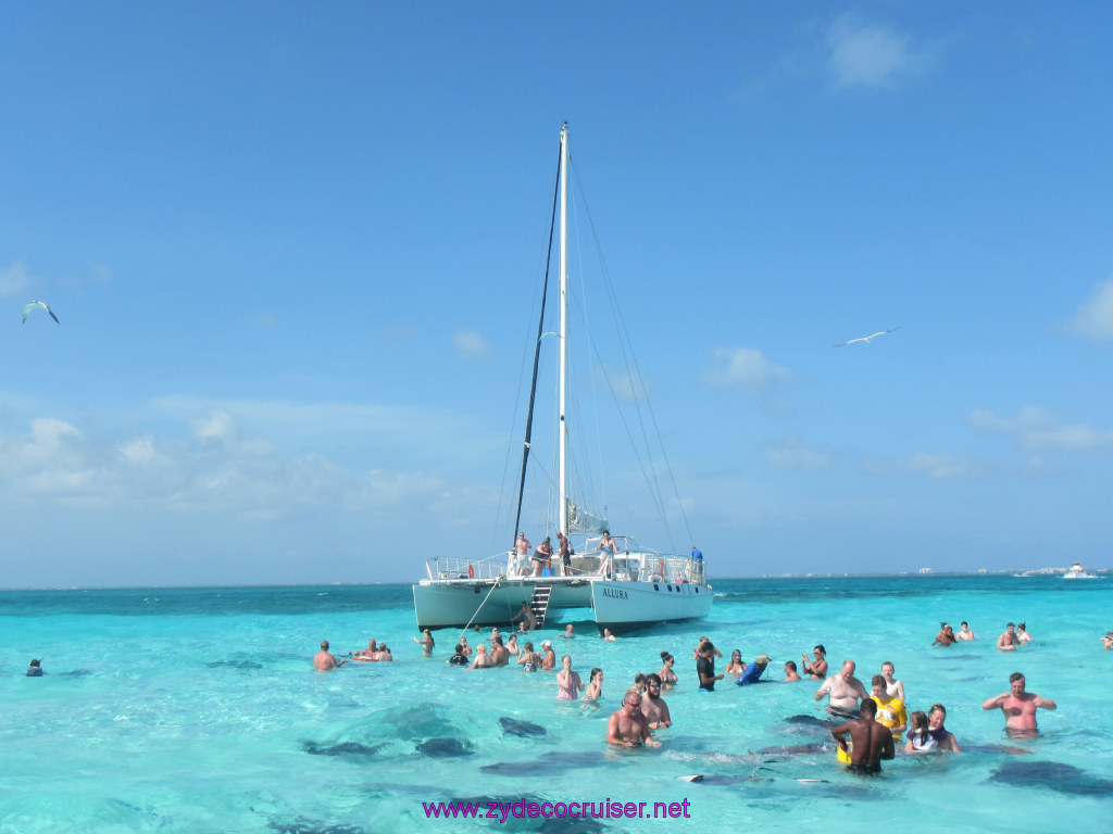 017: Carnival Dream Reposition Cruise, Grand Cayman, Native Way Rays, Reef, and Rum Point Tour, Stingray Sandbar, 