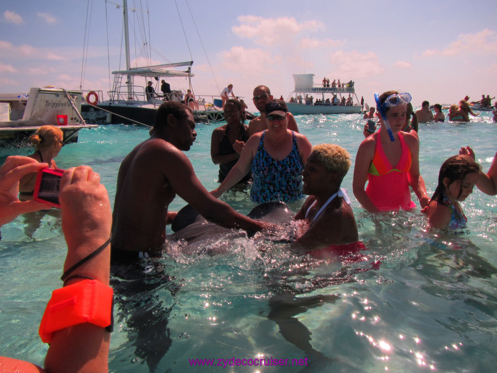 027: Carnival Dream Reposition Cruise, Grand Cayman, Native Way Rays, Reef, and Rum Point Tour, Stingray Sandbar, 