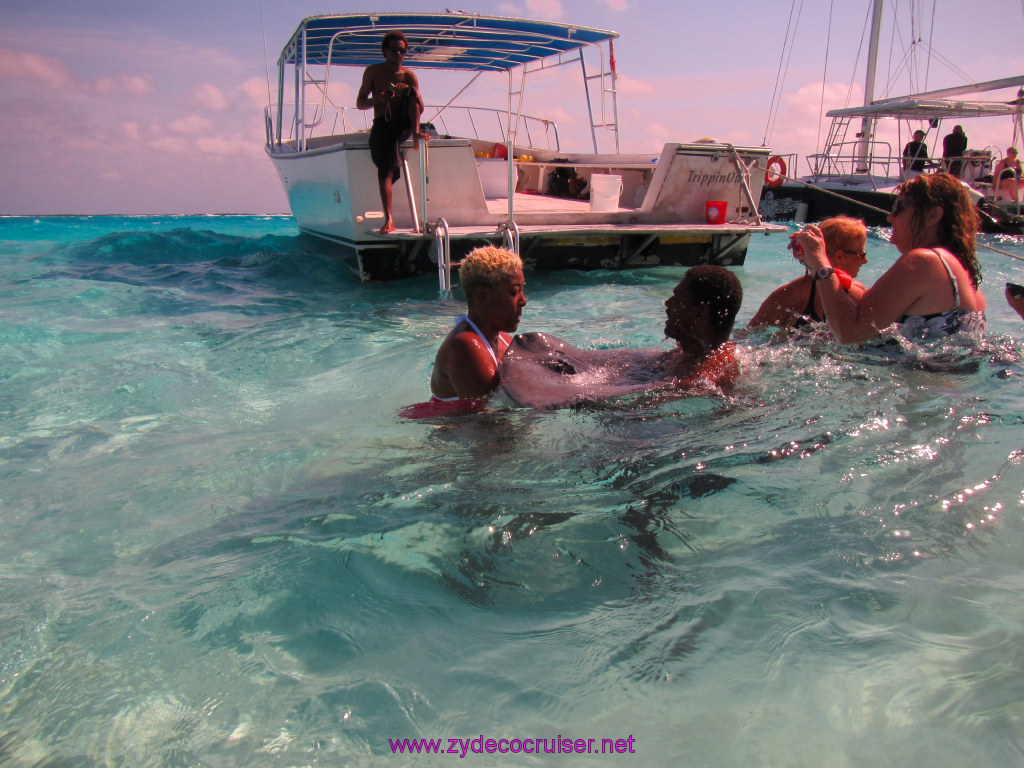 028: Carnival Dream Reposition Cruise, Grand Cayman, Native Way Rays, Reef, and Rum Point Tour, Stingray Sandbar, 