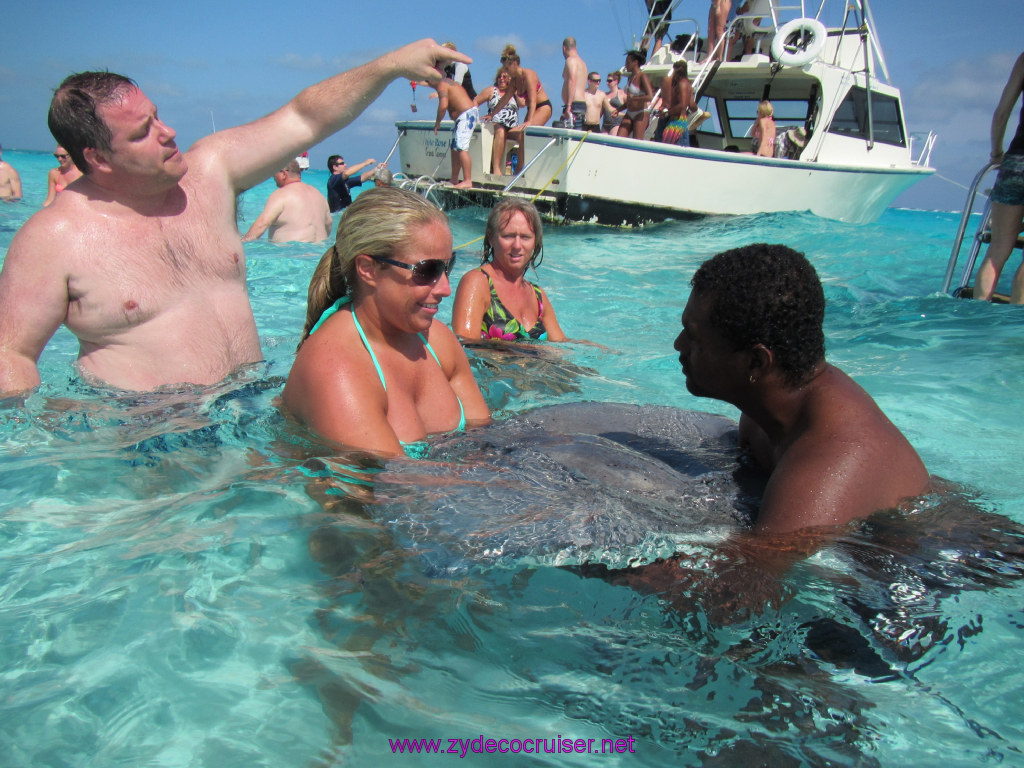 036: Carnival Dream Reposition Cruise, Grand Cayman, Native Way Rays, Reef, and Rum Point Tour, Stingray Sandbar, 
