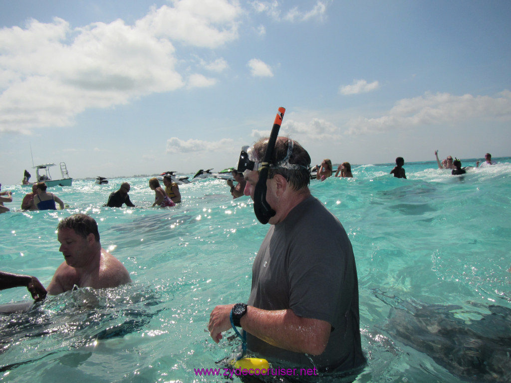 037: Carnival Dream Reposition Cruise, Grand Cayman, Native Way Rays, Reef, and Rum Point Tour, Stingray Sandbar, 