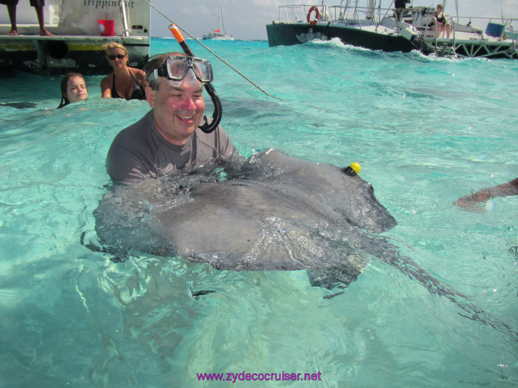 040: Carnival Dream Reposition Cruise, Grand Cayman, Native Way Rays, Reef, and Rum Point Tour, Stingray Sandbar, 