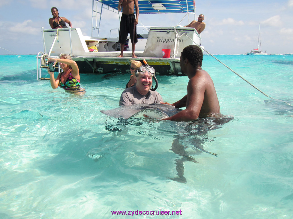 041: Carnival Dream Reposition Cruise, Grand Cayman, Native Way Rays, Reef, and Rum Point Tour, Stingray Sandbar, 