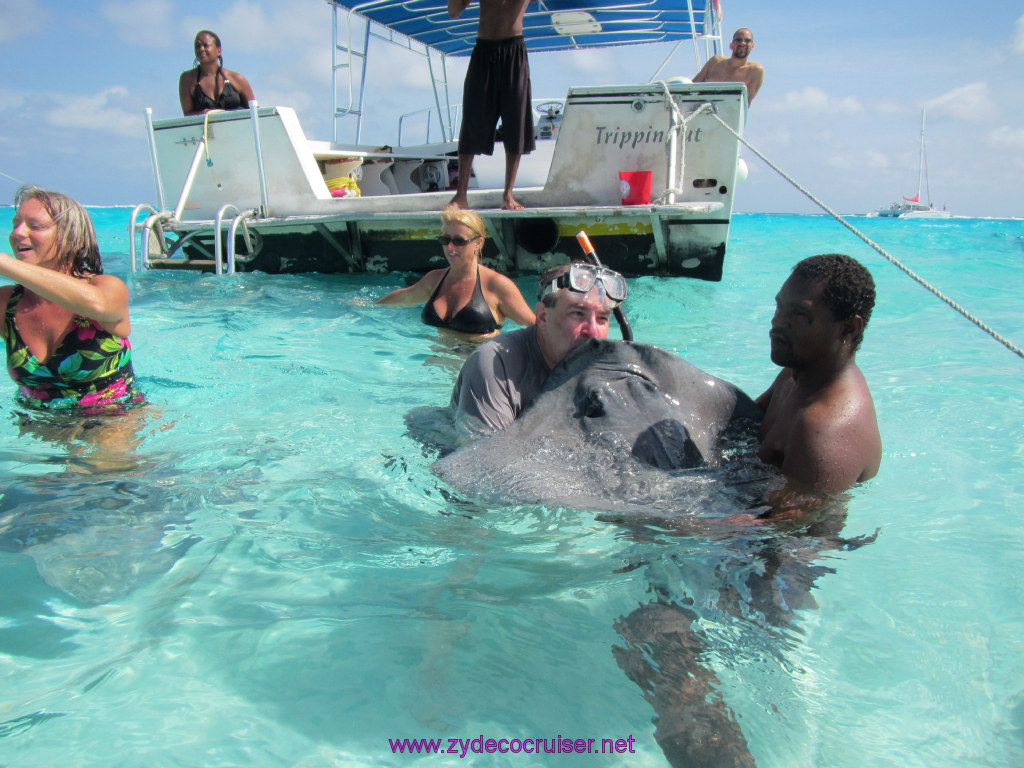 042: Carnival Dream Reposition Cruise, Grand Cayman, Native Way Rays, Reef, and Rum Point Tour, Stingray Sandbar, 