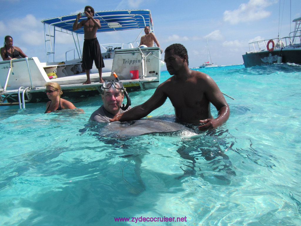 043: Carnival Dream Reposition Cruise, Grand Cayman, Native Way Rays, Reef, and Rum Point Tour, Stingray Sandbar, 