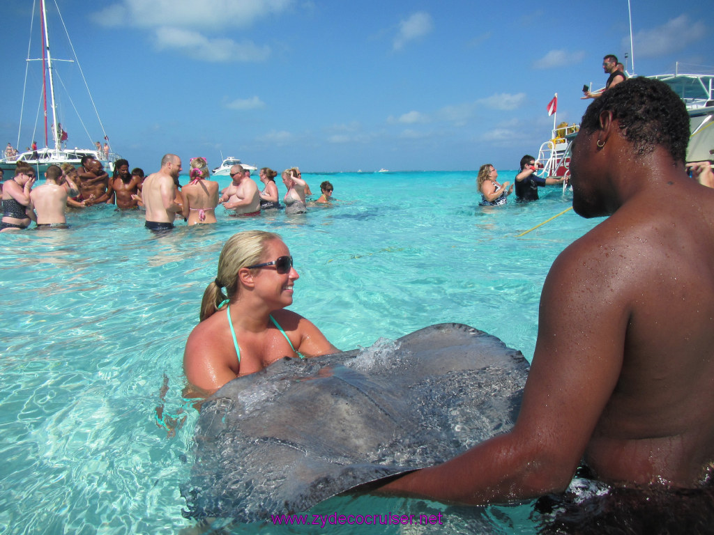 045: Carnival Dream Reposition Cruise, Grand Cayman, Native Way Rays, Reef, and Rum Point Tour, Stingray Sandbar, 