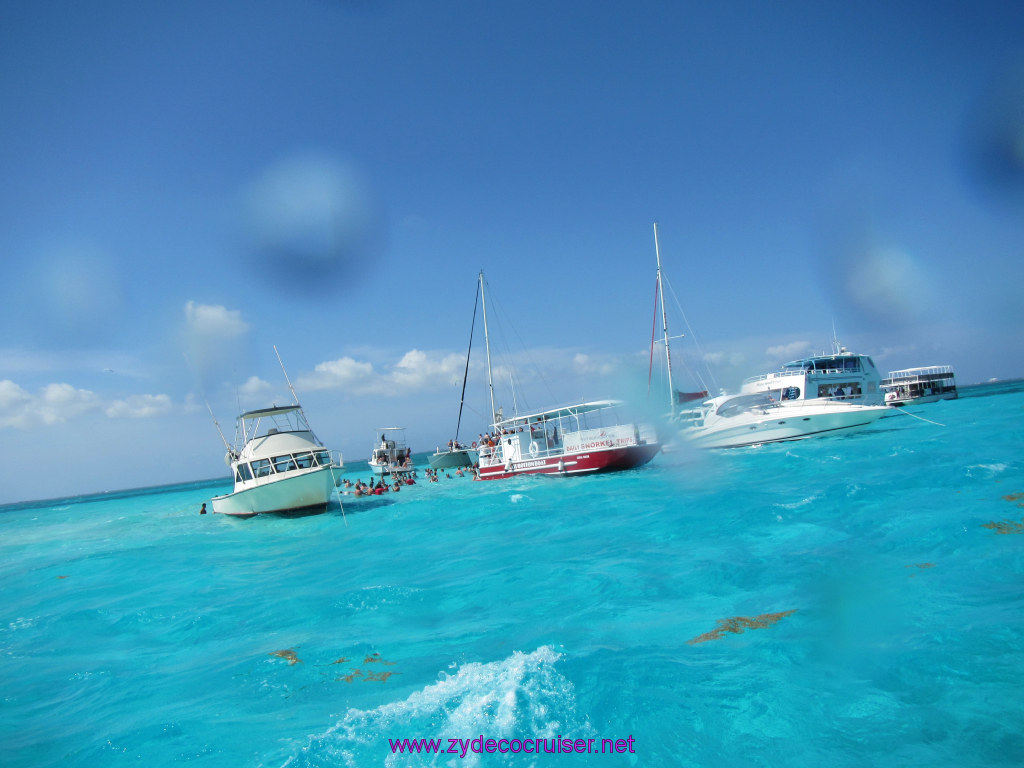 074: Carnival Dream Reposition Cruise, Grand Cayman, Native Way Rays, Reef, and Rum Point Tour, Stingray Sandbar, 