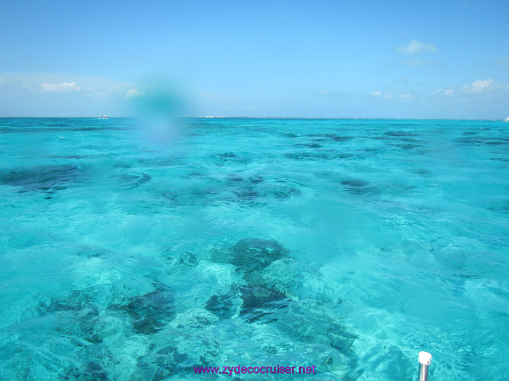 075: Carnival Dream Reposition Cruise, Grand Cayman, Native Way Rays, Reef, and Rum Point Tour, Coral Gardens, 