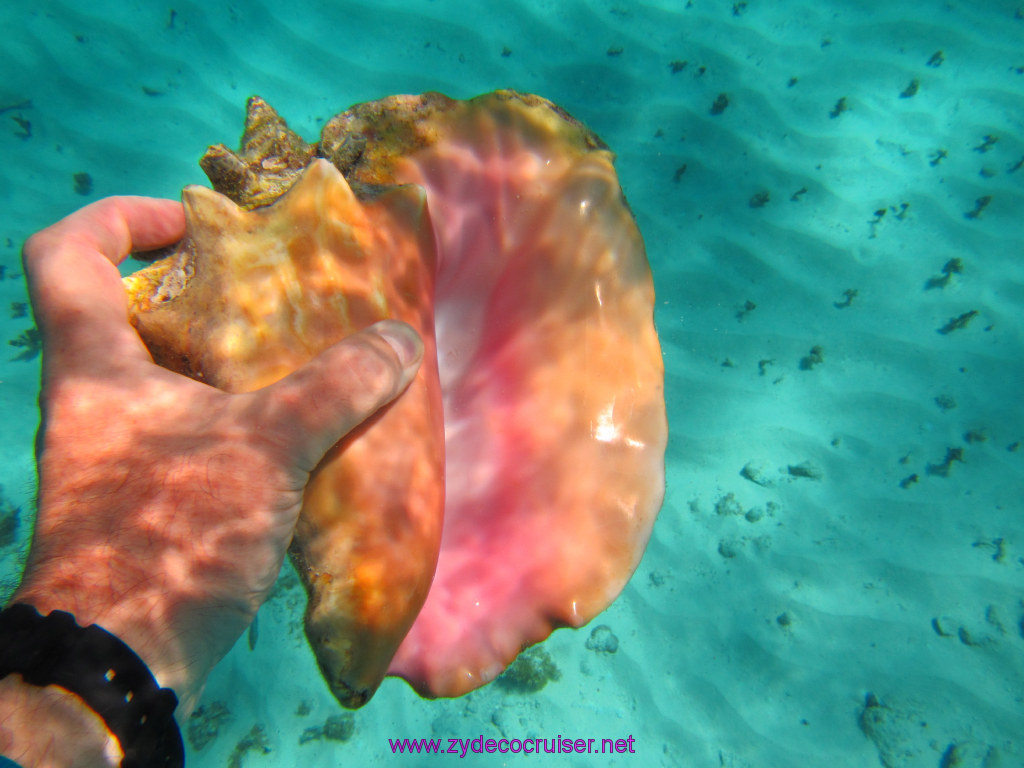 083: Carnival Dream Reposition Cruise, Grand Cayman, Native Way Rays, Reef, and Rum Point Tour, Coral Gardens, 