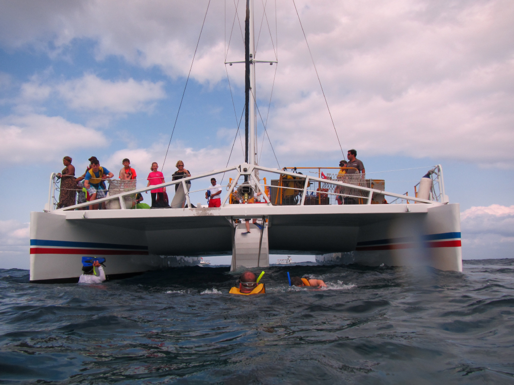005: Carnival Elation Cruise, Cozumel, Deluxe Beach Catamaran Sail and Snorkel,