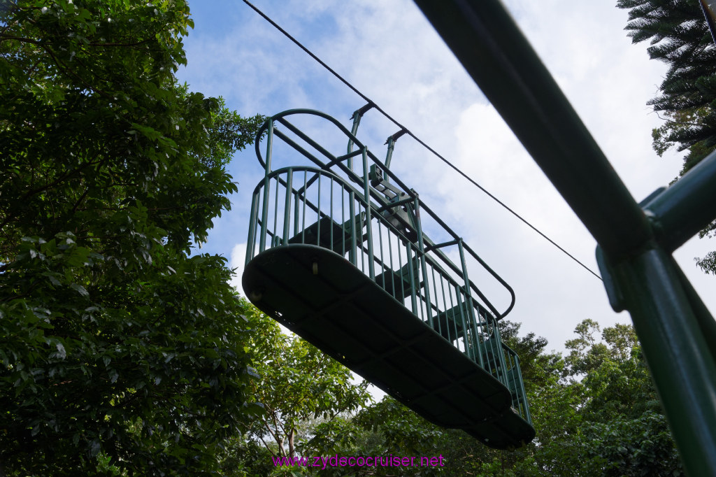 067: Carnival Freedom Reposition Cruise, St Lucia, Rain Forest Aerial Tram Adventure, 