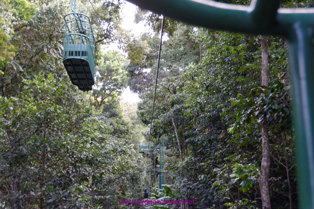069: Carnival Freedom Reposition Cruise, St Lucia, Rain Forest Aerial Tram Adventure, 