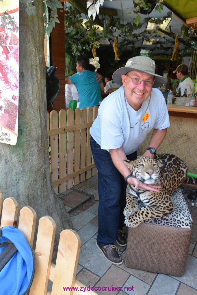 105: Carnival Imagination, Ensenada, La Bufadora Tour, A 9 month old Leopard cub