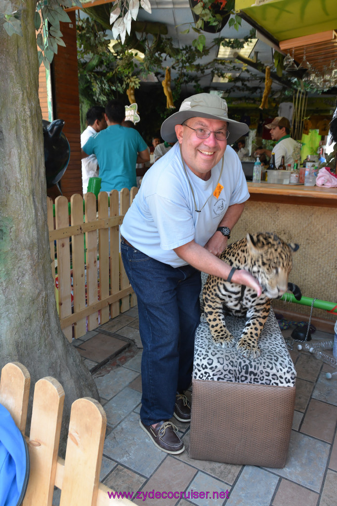 106: Carnival Imagination, Ensenada, La Bufadora Tour, A 9 month old Leopard cub
