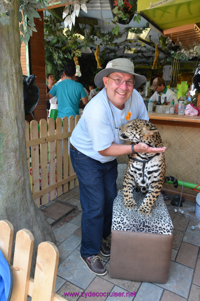 107: Carnival Imagination, Ensenada, La Bufadora Tour, A 9 month old Leopard cub