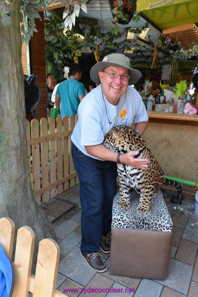 108: Carnival Imagination, Ensenada, La Bufadora Tour, A 9 month old Leopard cub