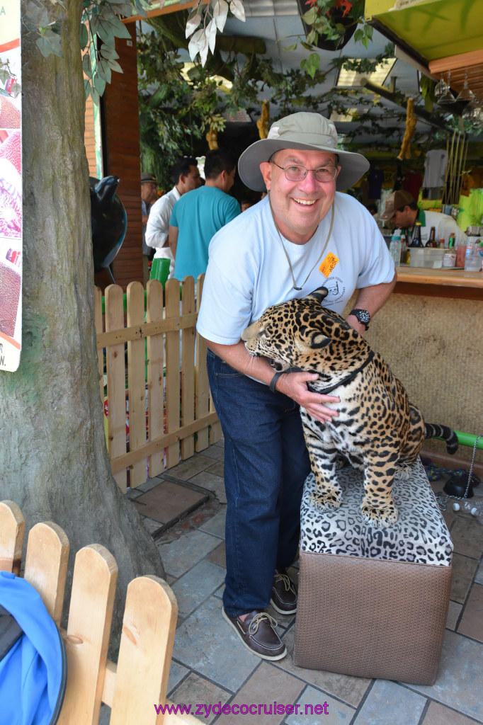 109: Carnival Imagination, Ensenada, La Bufadora Tour, A 9 month old Leopard cub