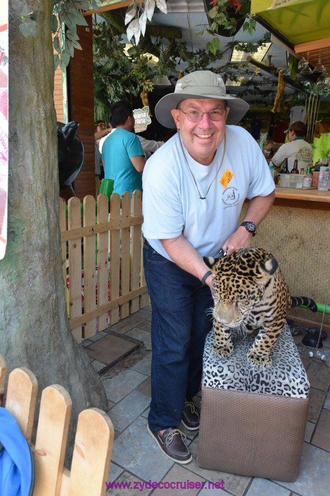 110: Carnival Imagination, Ensenada, La Bufadora Tour, A 9 month old Leopard cub