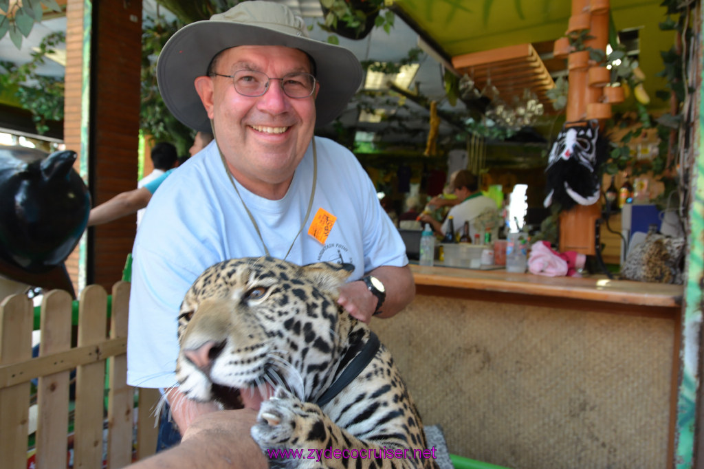 111: Carnival Imagination, Ensenada, La Bufadora Tour, A 9 month old Leopard cub