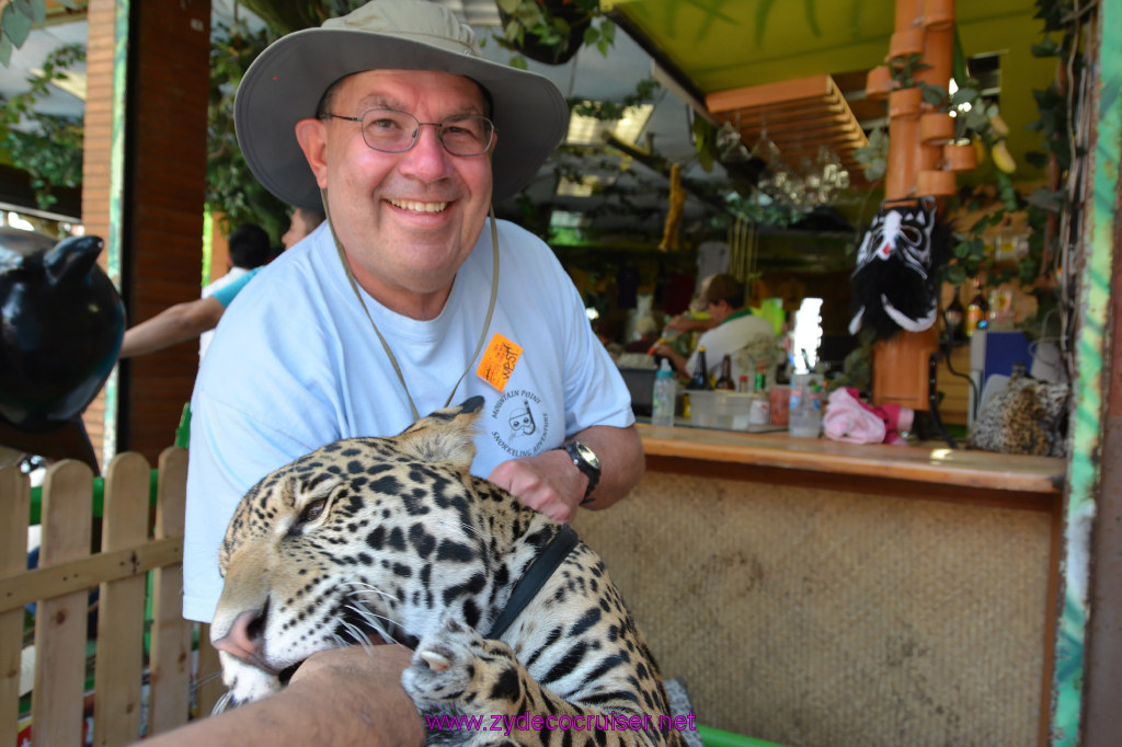 112: Carnival Imagination, Ensenada, La Bufadora Tour, A 9 month old Leopard cub