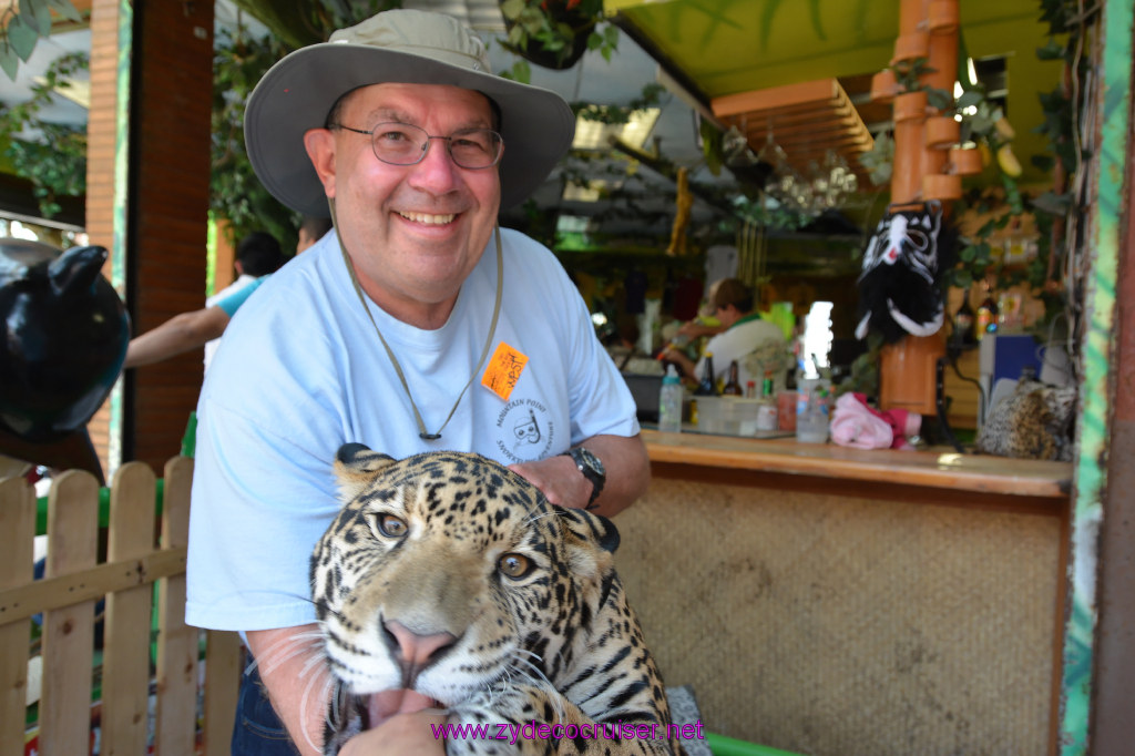 113: Carnival Imagination, Ensenada, La Bufadora Tour, A 9 month old Leopard cub