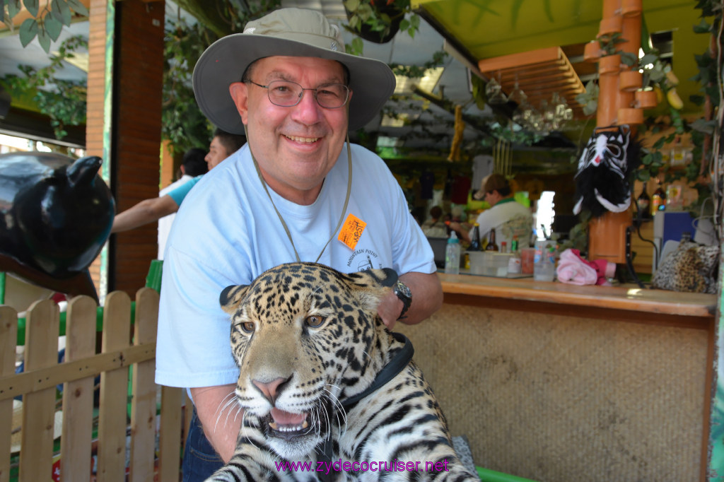 114: Carnival Imagination, Ensenada, La Bufadora Tour, A 9 month old Leopard cub