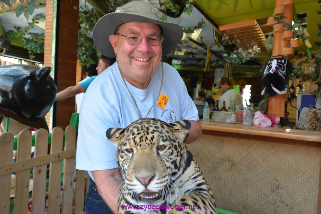 115: Carnival Imagination, Ensenada, La Bufadora Tour, A 9 month old Leopard cub