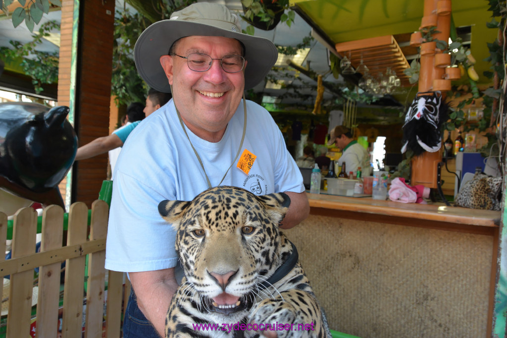 116: Carnival Imagination, Ensenada, La Bufadora Tour, A 9 month old Leopard cub