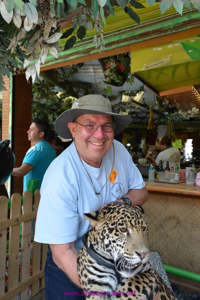 117: Carnival Imagination, Ensenada, La Bufadora Tour, A 9 month old Leopard cub