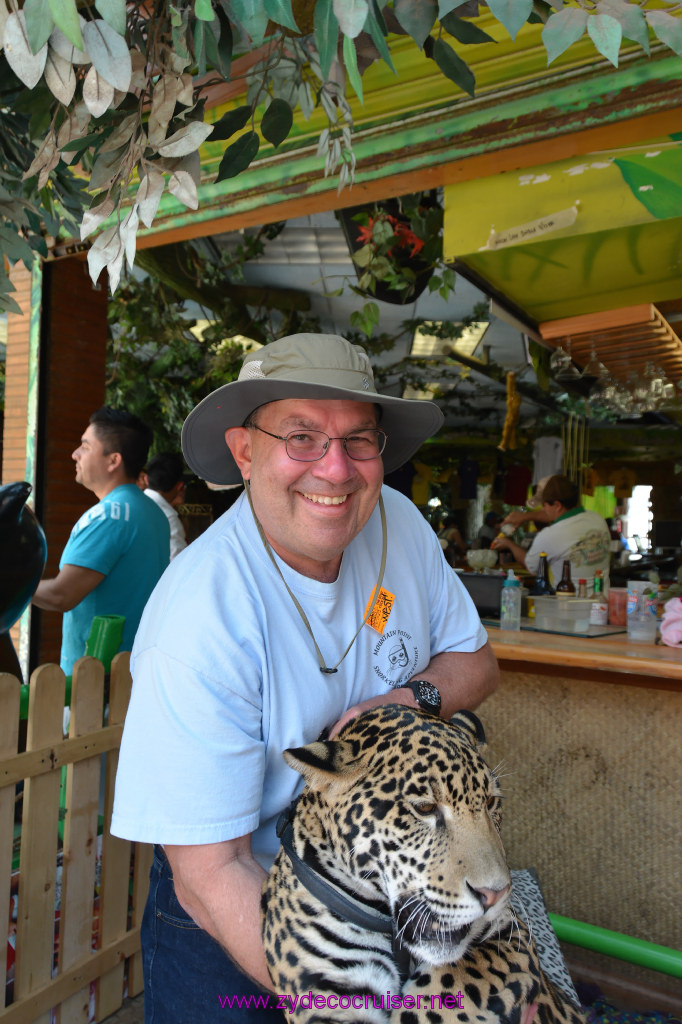 118: Carnival Imagination, Ensenada, La Bufadora Tour, A 9 month old Leopard cub
