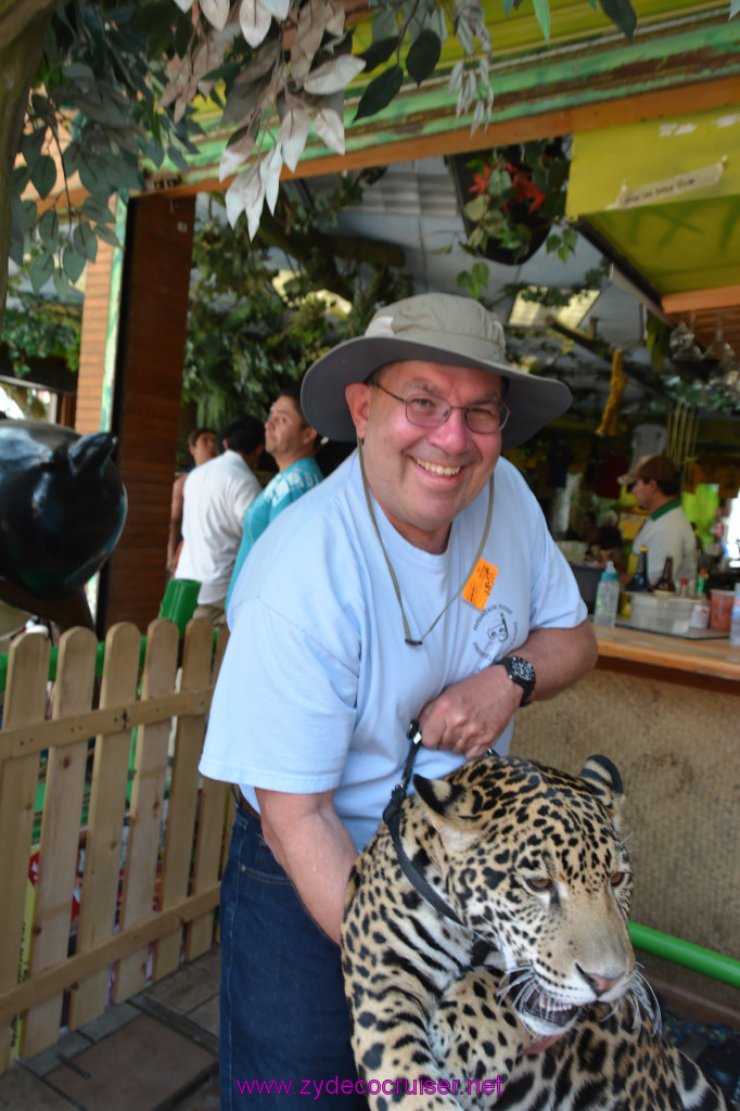 119: Carnival Imagination, Ensenada, La Bufadora Tour, A 9 month old Leopard cub