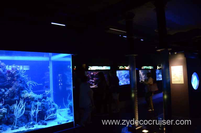 259: Carnival Magic Grand Mediterranean Cruise, Monte Carlo, Monaco, Oceanographic Museum and Aquarium