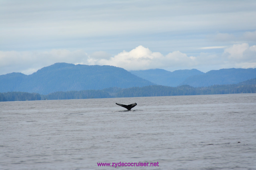 259: Carnival Miracle Alaska Cruise, Sitka, Jet Cat Wildlife Quest And Beach Exploration Excursion, 