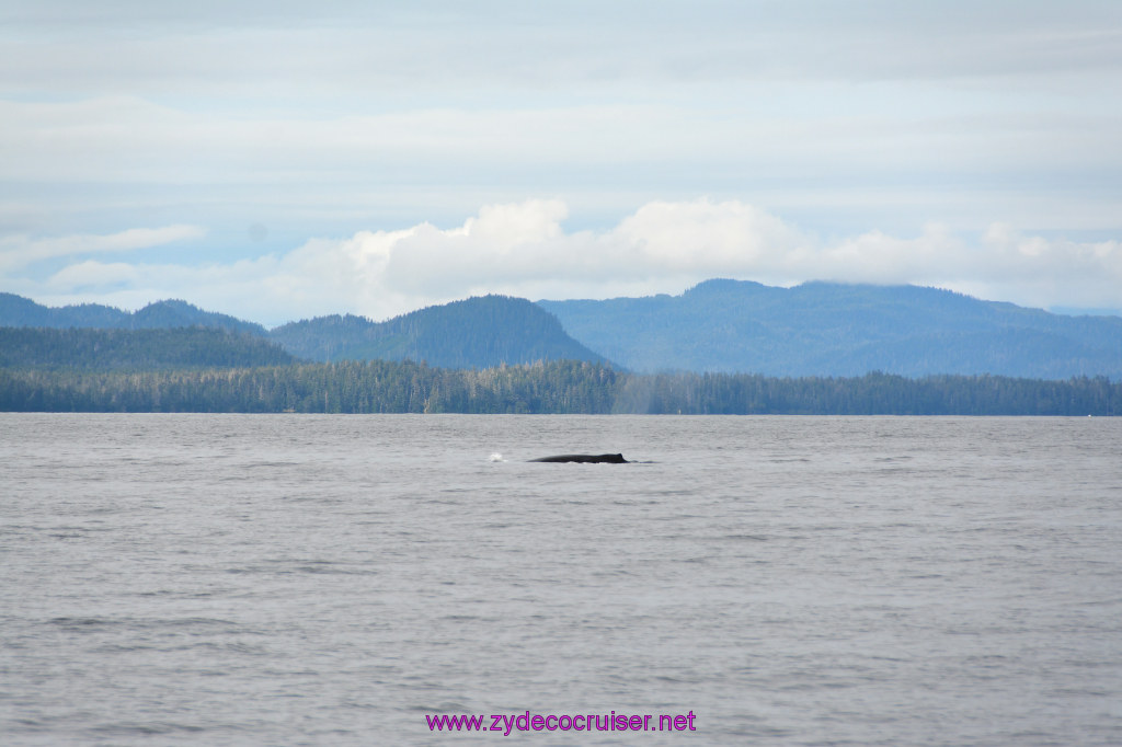 265: Carnival Miracle Alaska Cruise, Sitka, Jet Cat Wildlife Quest And Beach Exploration Excursion, 