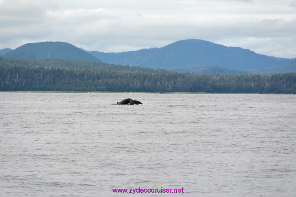 270: Carnival Miracle Alaska Cruise, Sitka, Jet Cat Wildlife Quest And Beach Exploration Excursion, 