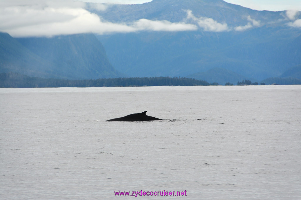 283: Carnival Miracle Alaska Cruise, Sitka, Jet Cat Wildlife Quest And Beach Exploration Excursion, 