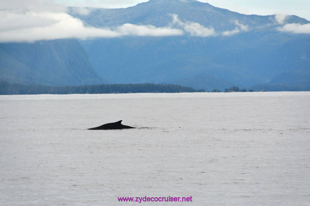 284: Carnival Miracle Alaska Cruise, Sitka, Jet Cat Wildlife Quest And Beach Exploration Excursion, 