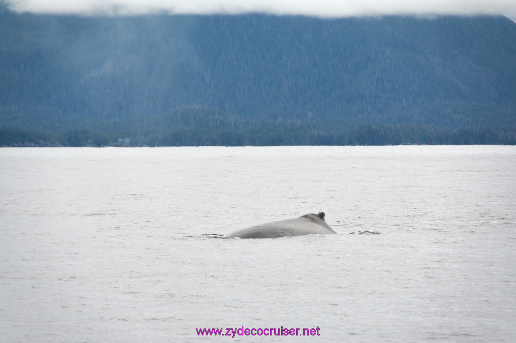 288: Carnival Miracle Alaska Cruise, Sitka, Jet Cat Wildlife Quest And Beach Exploration Excursion, 