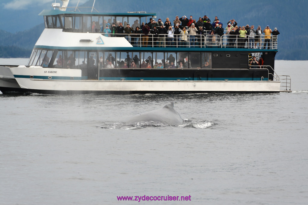 295: Carnival Miracle Alaska Cruise, Sitka, Jet Cat Wildlife Quest And Beach Exploration Excursion, 